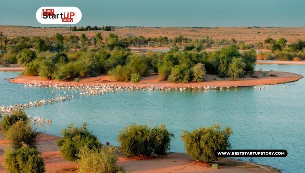 Seek Serenity at Al Qudra Lake