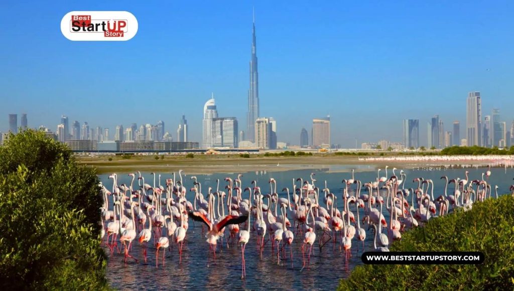 Wildlife Haven - Ras Al Khor Wildlife Sanctuary