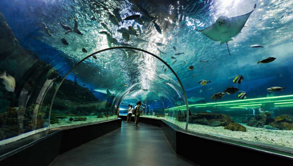 Dubai Aquarium and Underwater Zoo