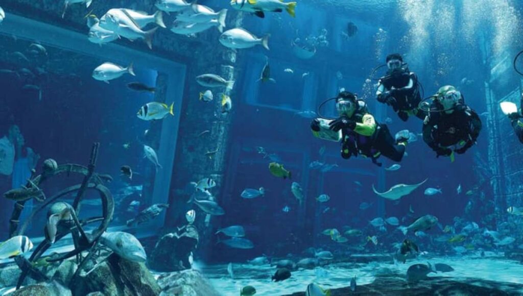 Lost Chambers Aquarium