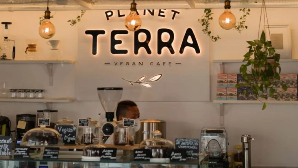 Planet Terra - Vegan Cafe