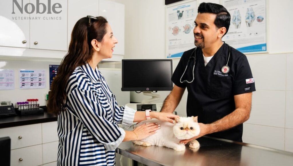 Dr. Soheyl Simaei with a customer for a health consultation for her cat.
