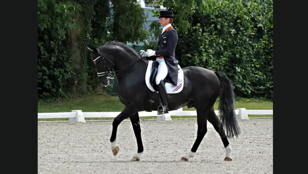 Moorland’s Totilas