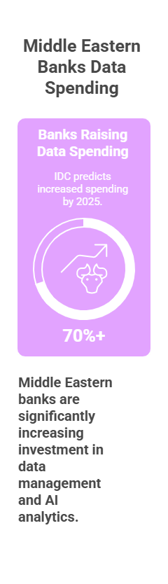Middle Eastern Banks Data Spending